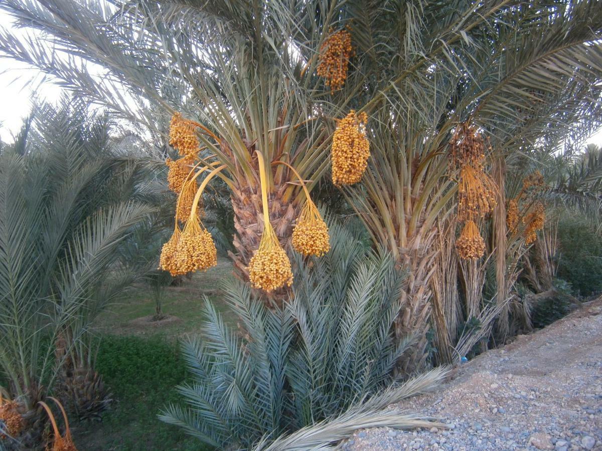 Aoufous Gite Tamlli מראה חיצוני תמונה