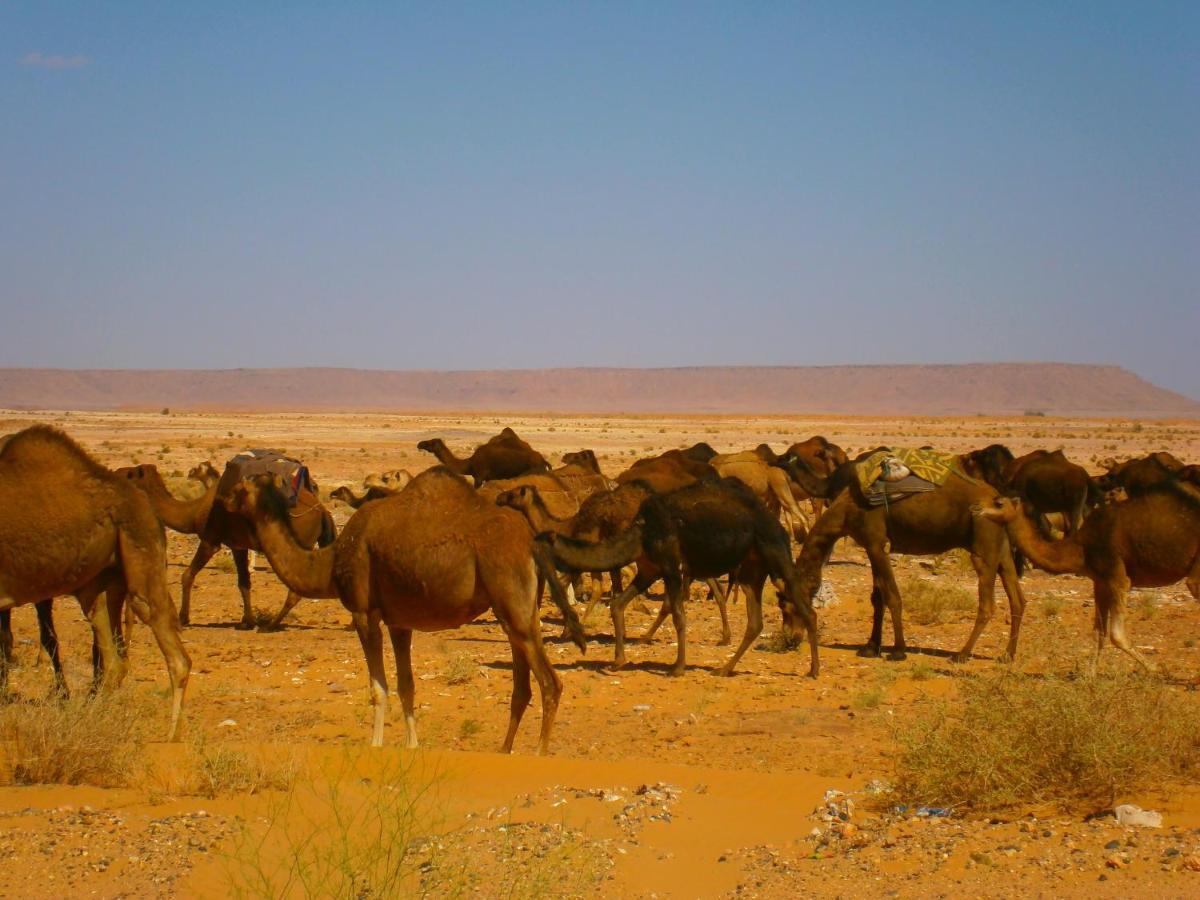 Aoufous Gite Tamlli מראה חיצוני תמונה